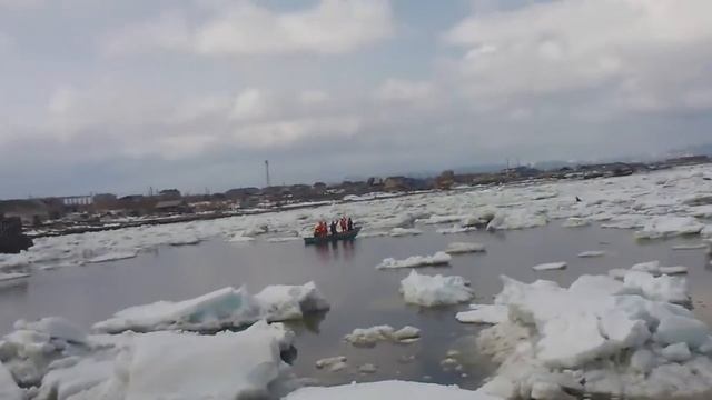 Спосение касаток стародубск смотреть онлайн