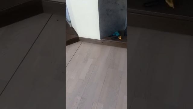 Паркетная доска и плинтус