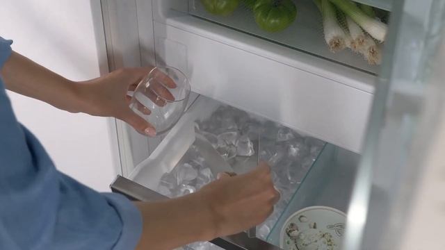 Liebherr Plus IceMaker смотреть онлайн