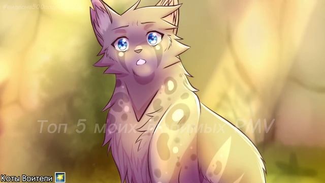 Топ 5 Моих Любимых PMV по КВ (Видео на 500 Подписчиков).