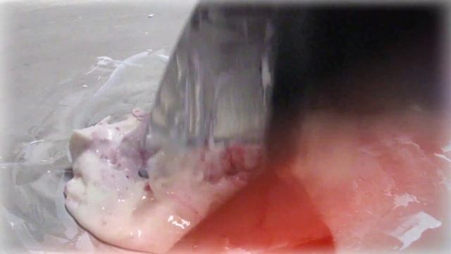 РОЛЛ(ТАЙСКОЕ ИЛИ ЖАРЕНОЕ) МОРОЖЕНОЕ ИЗ СМЕСИ "CREMAVERA" (видео от наших партнеров: "MY TAO" смотреть онлайн