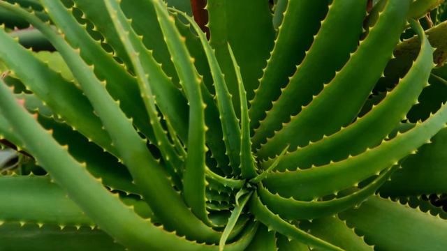 4 Home Remedies for Glowing Skin смотреть онлайн