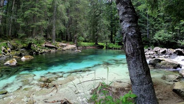 Relaxing Piano Music: Sleeping Music, Water Sounds, Relaxing Music, Meditation смотреть онлайн
