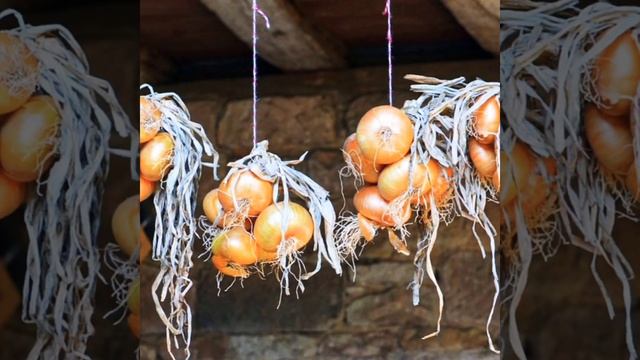 5 МАЯ ДЕНЬ ЛУКИ ??ЧТО НЕЛЬЗЯ ДЕЛАТЬ ?Народные приметы, традиции и обряды ?? смотреть онлайн