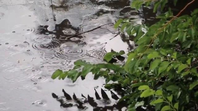 The Most Magical 1 Hour Relaxing Strings: Guitar, Violin, and Cello Meditation Music with RainFall смотреть онлайн