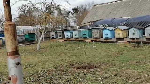 ?В ГОСТЯХ У ТАРЛЕЦКОГО ВИКТОРА ИВАНОВИЧА /ЧАСТЬ ПЕРВАЯ ? смотреть онлайн