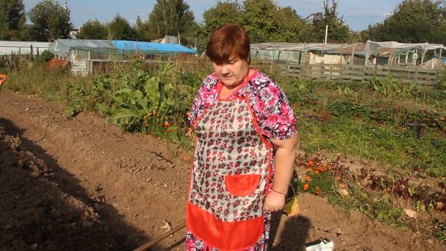 Как Правильно Хранить Чеснок. Как Подготовить Грядку Под Чеснок. смотреть онлайн