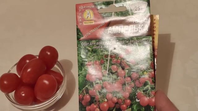 Семена ампельных томатов на сезон 2022г. Ленинградская область смотреть онлайн