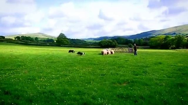 Эдвардианская ферма. 00. Июнь смотреть онлайн