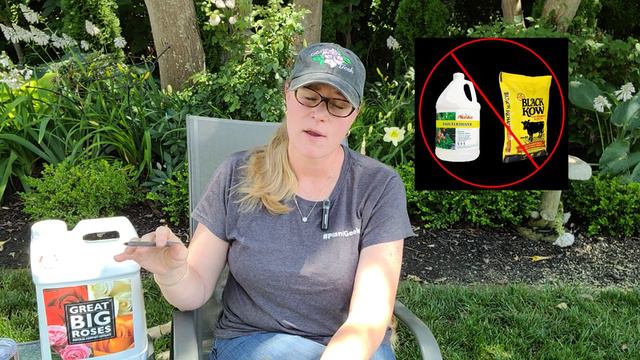 🌹 Organic Rose Fertilizer - No Smell | Great Big Roses | Humic Acid and Kelp смотреть онлайн
