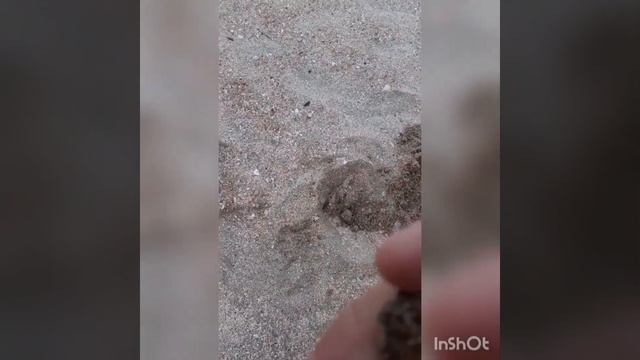 мд 4030 Азовское море п. Ачуево смотреть онлайн
