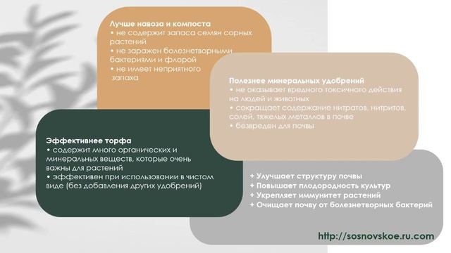 Спасти озеро Сосновское. Презентация смотреть онлайн