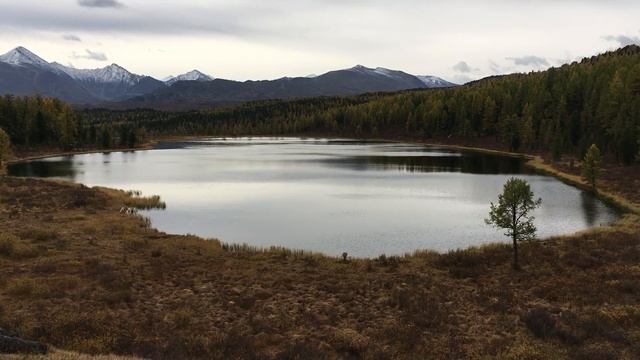 Озеро Киделю, Улаганский район Алтай. смотреть онлайн