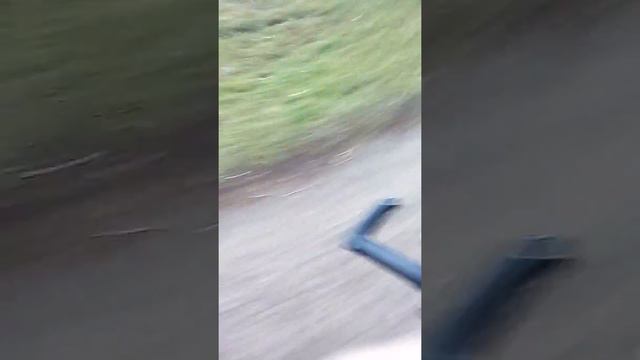 Едим в школу смотреть онлайн