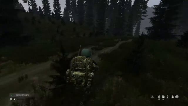 DayZ 1.13 | PS4 | Выживание на сервере Project DayZ | PvE | 18+ смотреть онлайн