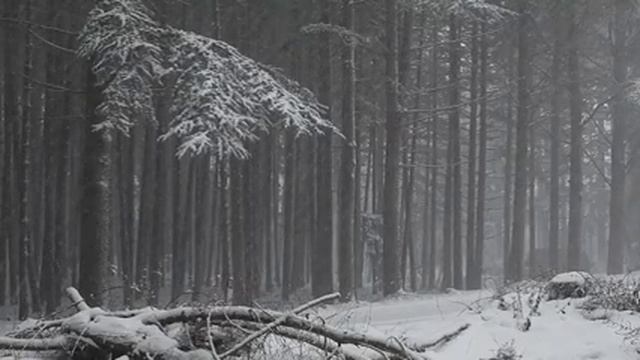 Расслабляющие звуки метели. Шум зимнего ветра и падающего снега для отдыха,медитации. Белый шум зим смотреть онлайн