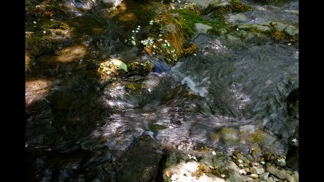 Rachmaninoff :  Suite No.2  -  II. Waltz