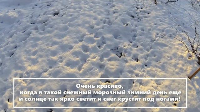 Красивая зима пришла в Украину! Досуг на даче! смотреть онлайн