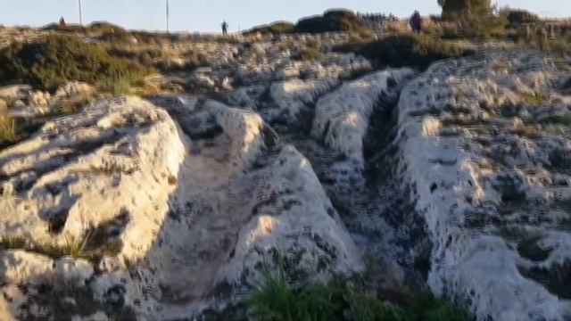 Об этом не говорит официальная наука! смотреть онлайн