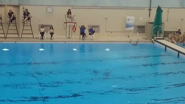 Etobicoke Olimpium synchronised swimming duet final 2015 смотреть онлайн