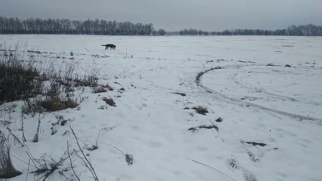 Покатушки на мотоцикле урал по мокрому снегу \ Motorcycles and life смотреть онлайн