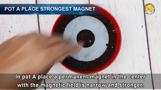 SEE WHAT HAPPENS TO PLANTS WHEN YOU PLACE A MAGNET IN A POT? | DIY GARDENING EXPERIMENT смотреть онлайн