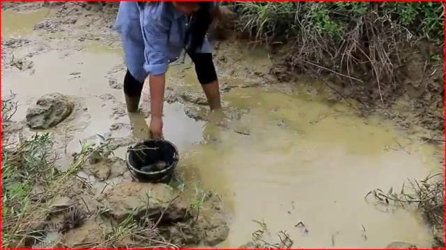 Красивые девушки ловят рыб в Камбодже - Как ловить рыб в Баттамбанге? (Часть 05) смотреть онлайн