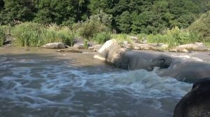 35 Мощных Матриц П.П. Гаряева Для Исцеления Всего Организма.