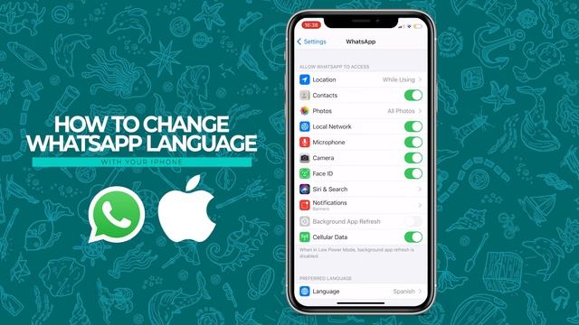 How to CHANGE WhatsApp LANGUAGE in iPhone [2021] смотреть онлайн