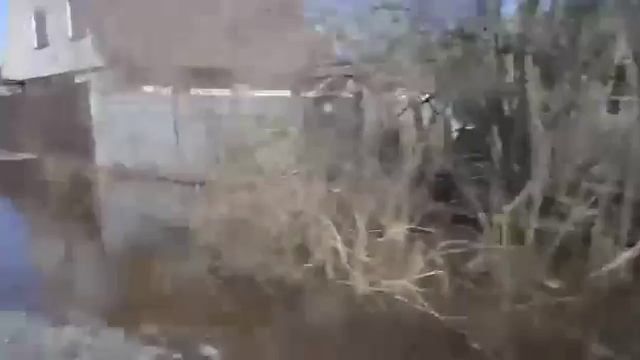 Потоп 2018 г.Ногинск СНТ "СИРЕНЬ" смотреть онлайн