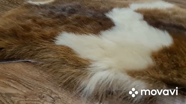 ШКУРА ЯГНЕНКА ДЛЯ ИНТЕРЬЕРА ПЯТНИСТАЯ (КОД: 4493 ) смотреть онлайн