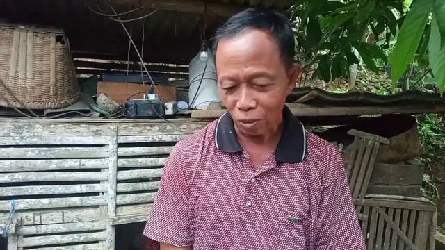 NEKAT 0,5 KG PAKAN UNTUK 30 EKOR ENTOK DEWASA & CIPTAKAN PENETASAN PASIR 99% MENETAS смотреть онлайн