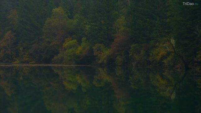 Музыка для релаксации ☯ Медитация Цигун ☯ ЦзюЧжайГоу ☯ Jiuzhaigou смотреть онлайн