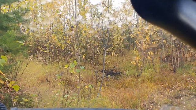 дорога вдоль реки Тром-Еган смотреть онлайн