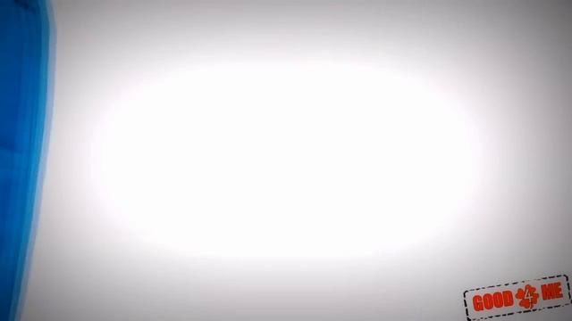 Органайзер для документов и путешествий смотреть онлайн