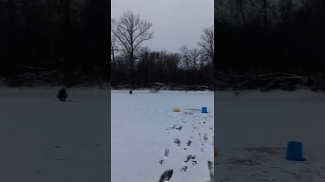 зимняя рыбалка 2018!!!!!!!!!! дебют!!!! р. Караман, Маркс Саратовская область!!!!!!!!!! смотреть онлайн