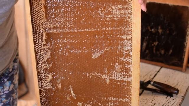 Распечатка сот электрическим ножом смотреть онлайн