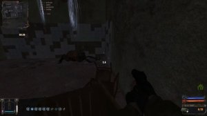 где найти кейс Максима на агропроме. Золотой Шар. S.T.A.L.K.E.R.