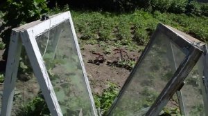 Как использовать старые оконные рамы