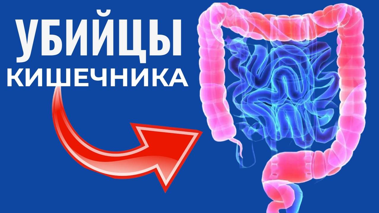 Мы сами гробим наш кишечник. 5 привычек, о который нужно забыть. смотреть онлайн