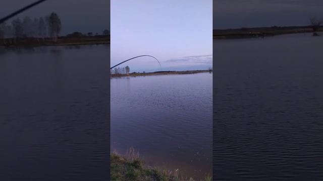 Амур на удочку на Покрах. смотреть онлайн