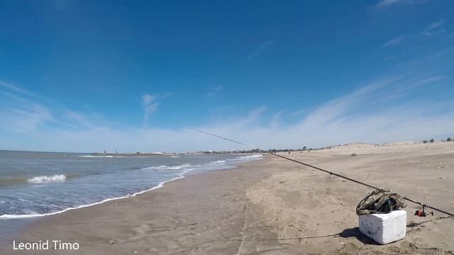 РЫБАЛКА в АРГЕНТИНЕ на Атлантическом ОКЕАНЕ | РЫБА-СЛОН смотреть онлайн