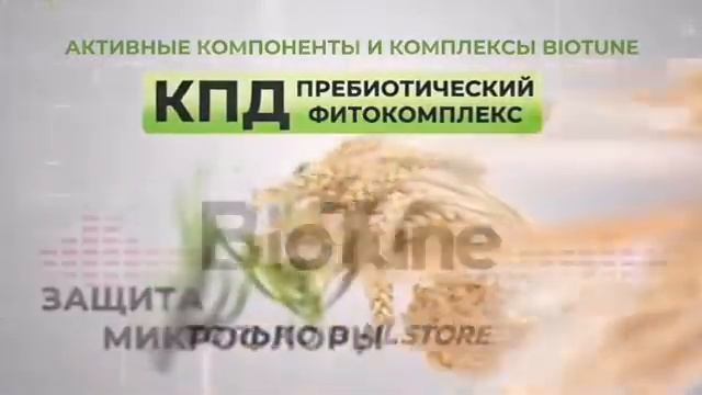 #Адаптоген #BioTune доступен для предзаказа в России. ⠀ Каждый из нас сначала был скоплением клеток