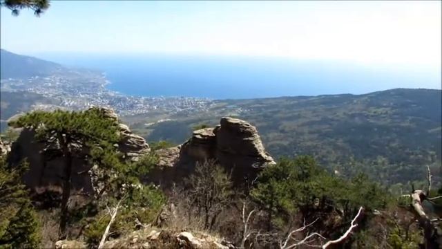 Таракташ 15.04.2018 смотреть онлайн
