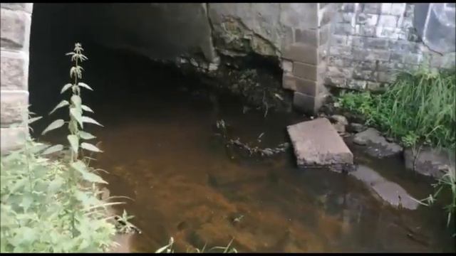СТАРИННЫЙ ЖЕЛЕЗНОДОРОЖНЫЙ МОСТ / д. Донино смотреть онлайн