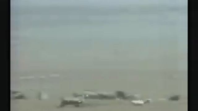 Gazelle Outruns Cheetah