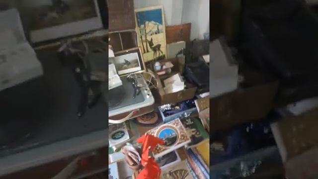 Ярмарка турксиб пожарка суюнбая хмельницкого приезжайте рынок находится рядом с жд вокзалом Алматы смотреть онлайн