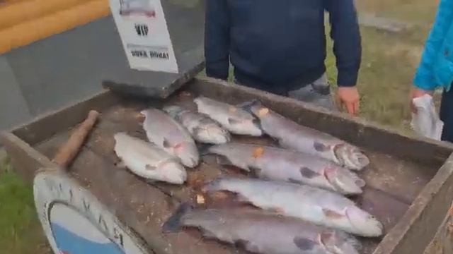 22 октября 2021 г. смотреть онлайн