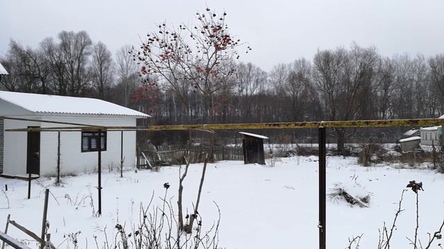 о зимней калине замолвите слово смотреть онлайн