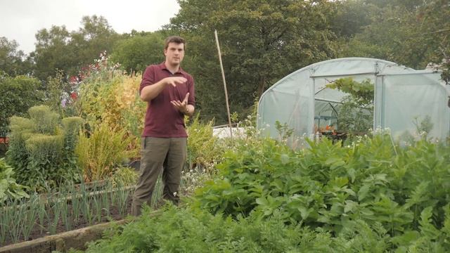 ? Gardeners' World 2022 | Late July Tour Of Our 400 ? Organic Kitchen Garden Only Feed Is Compost